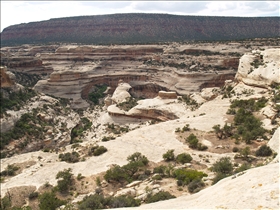 Natural Bridges